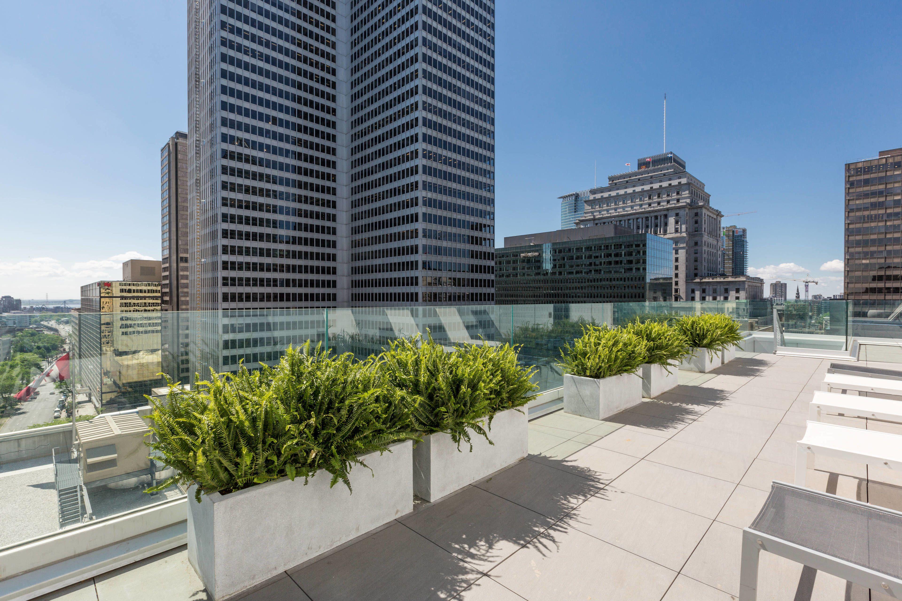 Renaissance Montreal Downtown Hotel — Photos 1
